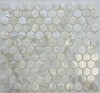 PIX751 Мозаика из натурального перламутра HEX25 285х295x2