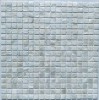 PIX769 из натурального перламутра Super White 15*15 300х300х2