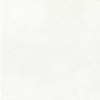 PL18 Bianco 20x20