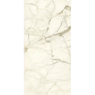 PL612575 Calacatta Macchia Vecchia Lucidato 60x120