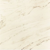 PP-01-160-0598-0598-1-011 Larda white POL 59,8x59,8