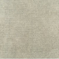 PP-01-161-0598-0598-1-024 Lemon Stone grey 2 POL 59,8x59,8