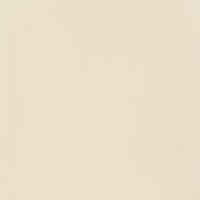 PP-01-165-0598-0598-1-092 Elementary ivory MAT 59,8x59,8
