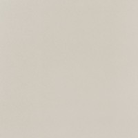PP-01-165-0598-0598-1-095 Elementary dust MAT 59,8x59,8