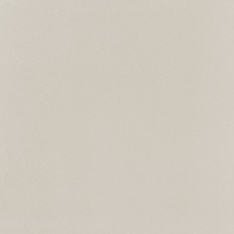 PP-01-165-0598-0598-1-095 Elementary dust MAT 59,8x59,8