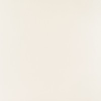 PP-01-165-0598-0598-1-101 Elementary white MAT 59,8x59,8