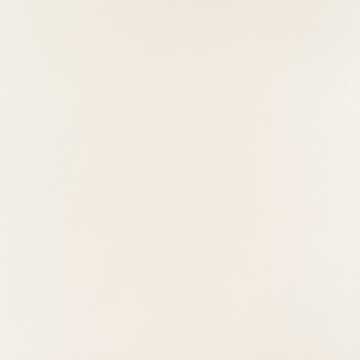 PP-01-165-0598-0598-1-101 Elementary white MAT 59,8x59,8