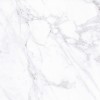 PR0224 Калакатта полированная 60*60