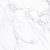 PR0224 Калакатта полированная 60*60