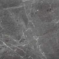 PR108 Ardesia Grafito Polished 600x600