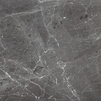 PR108 Ardesia Grafito Polished 600x600