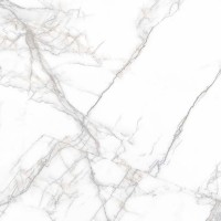 PR114 Arena White Polished 600x600