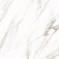 PR128 Ayton Brown polished 600х600х9