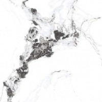 PR129 Videl Bianco polished 600x600x9