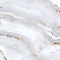 PR140 Керамогранит Joie Silver polished 60x60