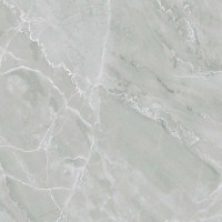 PR152 Керамогранит Almond Light Grey Polished 60x60