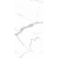 PR207 Salvatore Polished 600x1200