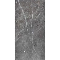 PR208 Ardesia Grafito Polished 600x1200