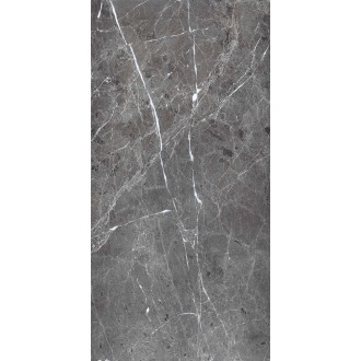PR208 Ardesia Grafito Polished 600x1200