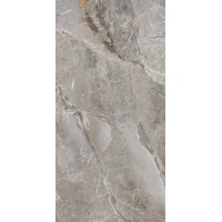 PR209 Essence Grey Polished 600x1200