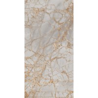 PR212 Golden Grey High glossy 600x1200