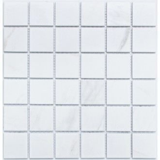 PR4848-32 Porcelain 306х306