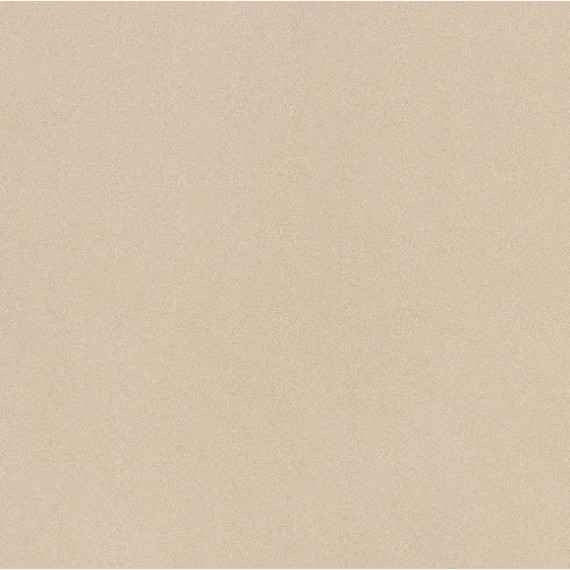 Керамогранит PRTU 60A LV PARADE 60x60