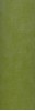 PR F VERDE 32,5X97,7 FONDO