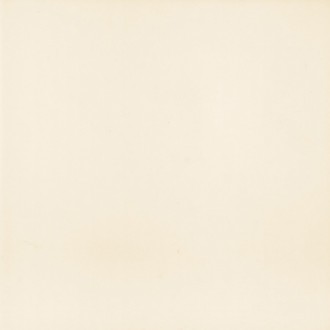 PT01199 Victorian Blanco 20*20