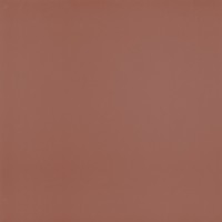 PT01202 VICTORIAN ROJO 20*20