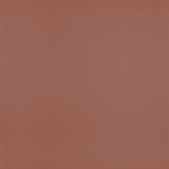 PT01202 VICTORIAN ROJO 20*20