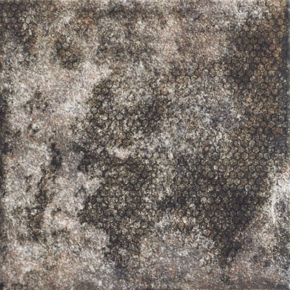 Керамическая плитка PT02797 Mandala Black 20*20