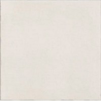 PT03416 Керамогранит Nostalgy White 20x20