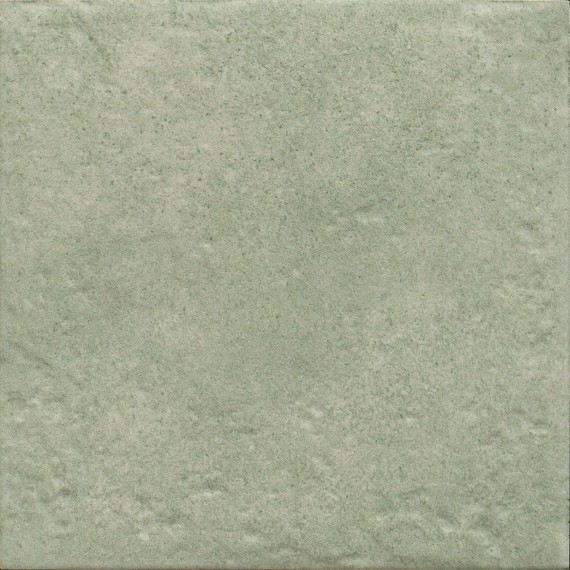 Керамогранит PT03845 Green Season 20x20