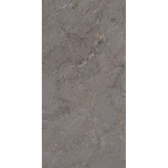 Керамогранит PT12P7057 Керамогранит Verona Pol 1200х600х9
