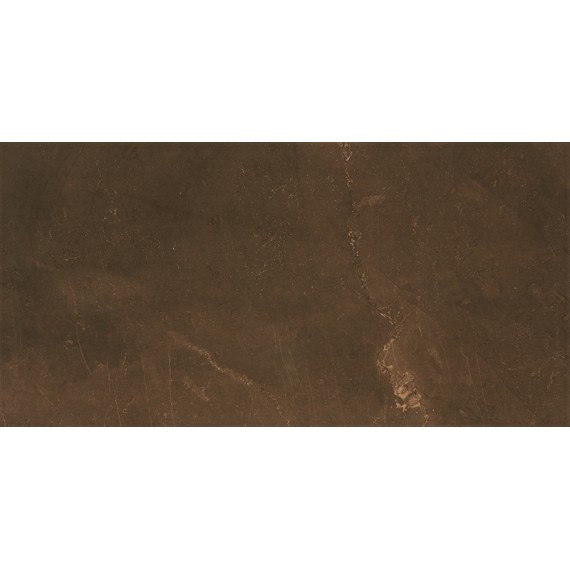Керамическая плитка PULPIS Brown GLOSSY 30х60