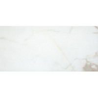 Palace Calacata 59x119