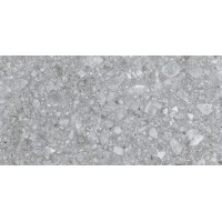 Palladino Grey 60x120