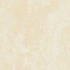 Palladio beige PG 03 v2 450х450