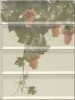 Panno Moscatel Crema 10x30