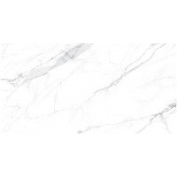 Paola Bianco Polished 60x120