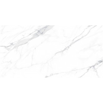 Paola Bianco Polished 60x120