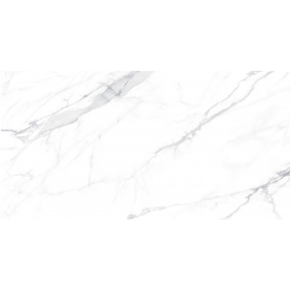 Керамогранит Paola Bianco Polished 60x120