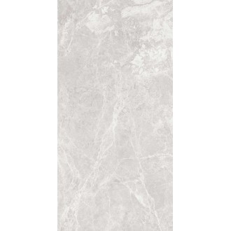 Paradise Silver Glossy 600x1200