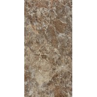 Paradiso Brown Kristal Parlak Nano Rectified 120x240