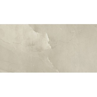 Passion Lux Champagne 60*120