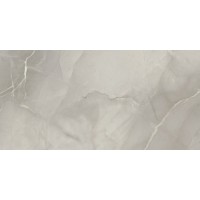 Passion Lux Grey 60*120