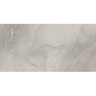 Passion Lux Grey 60*120