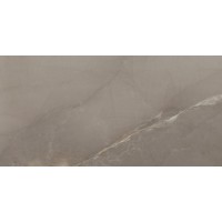 Passion Lux Taupe 60*120