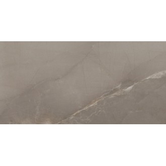 Passion Lux Taupe 60*120